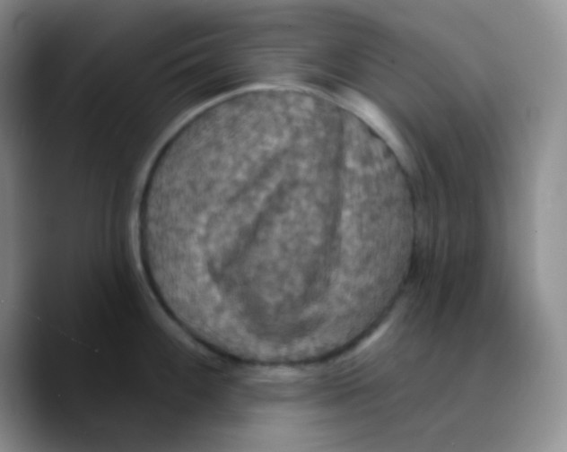X0000089721100200707201816