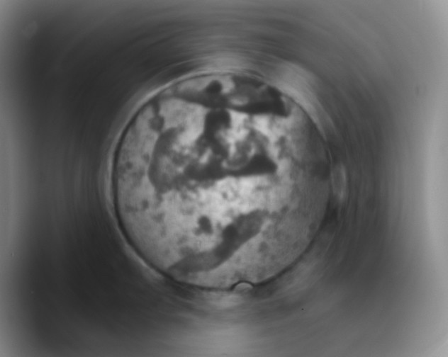 X0000089721103200707201816