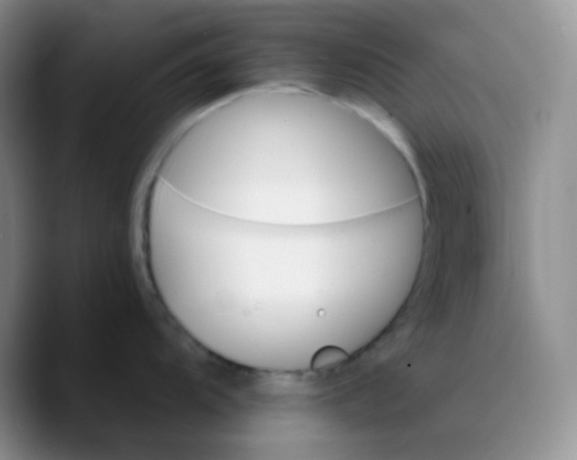 X0000089721104200707201815
