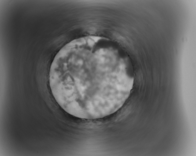 X0000089721105200707201815
