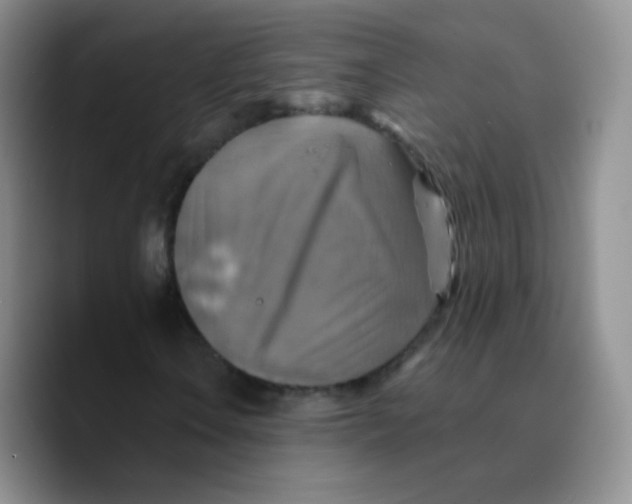 X0000089721106200707201815