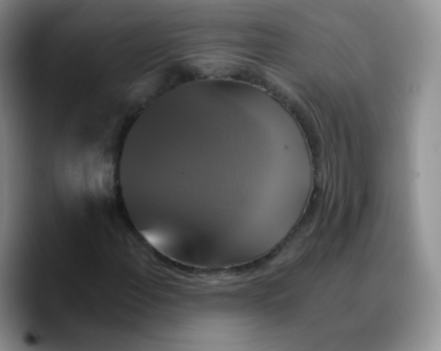 X0000089721108200707201815