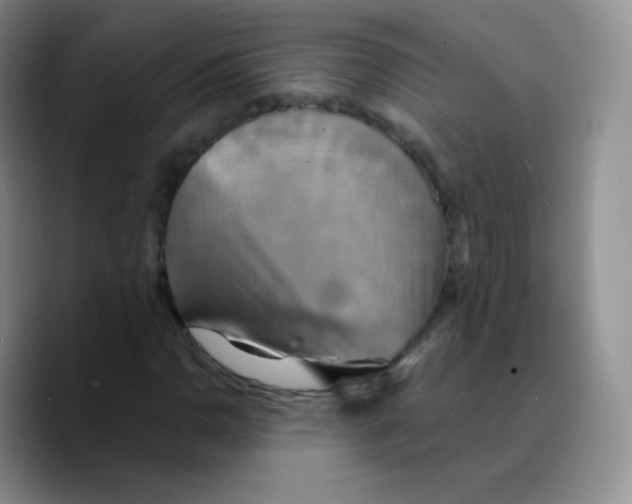 X0000089721110200707201815