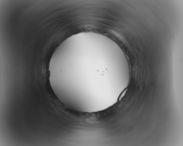 X0000089721111200707201815
