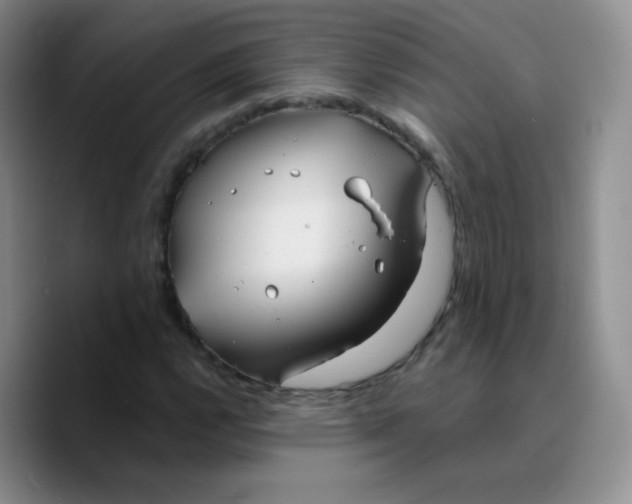 X0000089721112200707201815