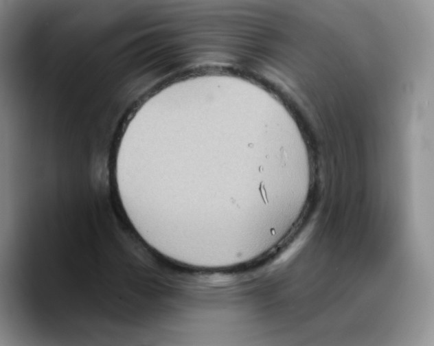 X0000089721113200707201815
