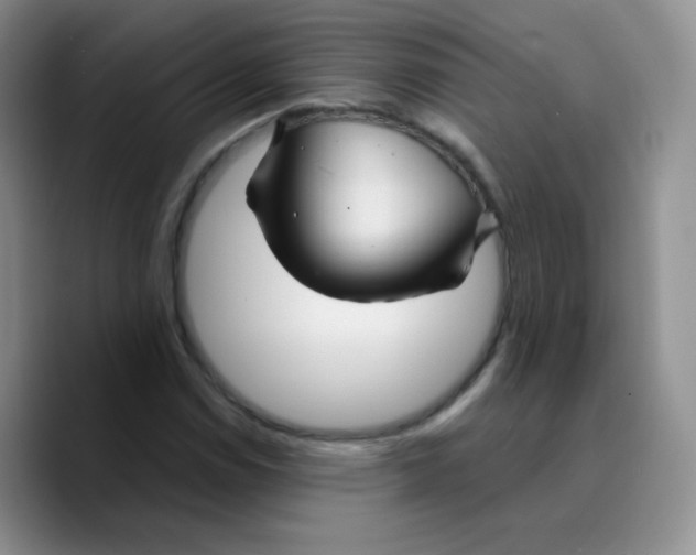 X0000089721114200707201815
