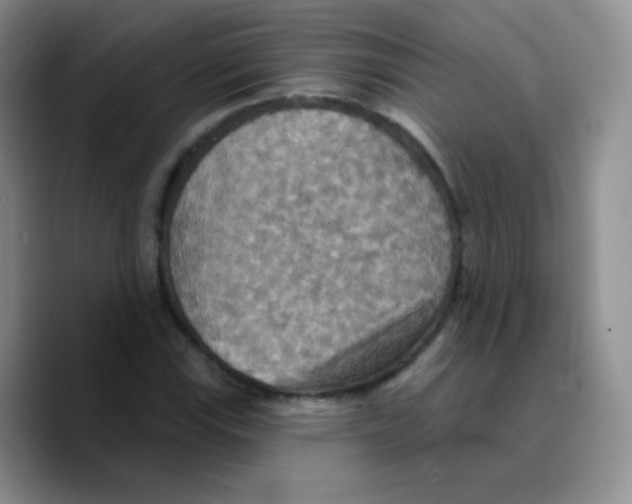 X0000089721115200707201815