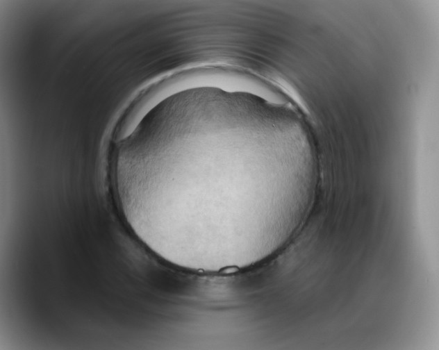 X0000089721116200707201815