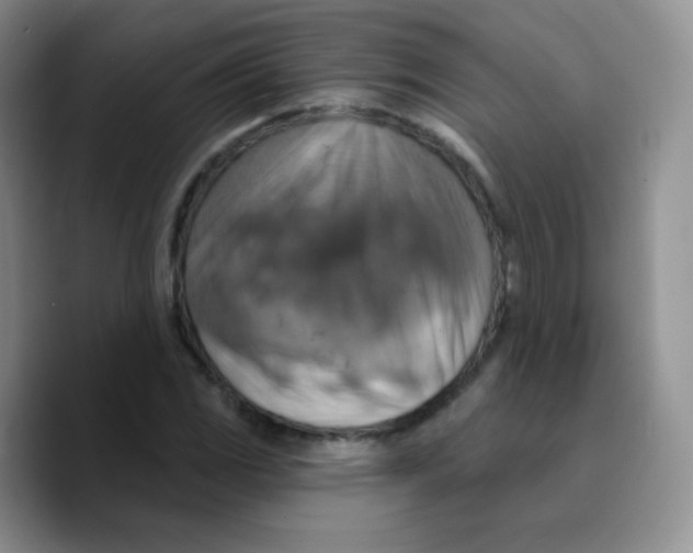 X0000089721117200707201815