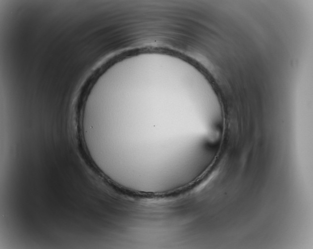 X0000089721118200707201815