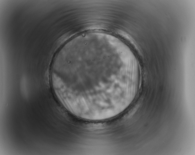 X0000089721121200707201815