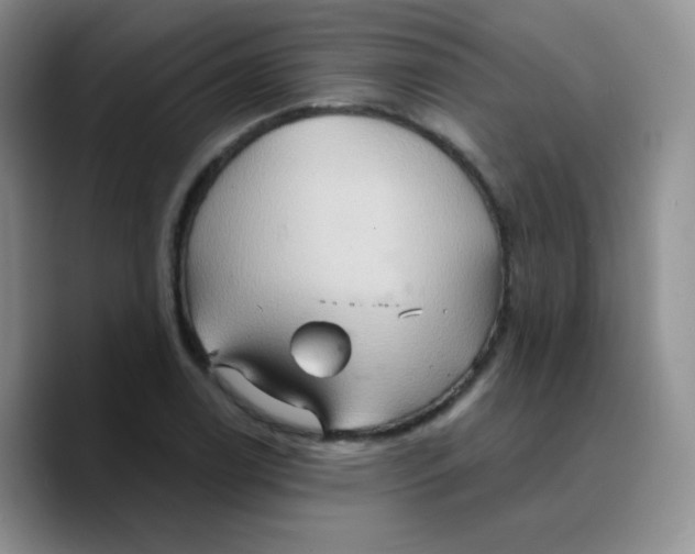 X0000089721122200707201815