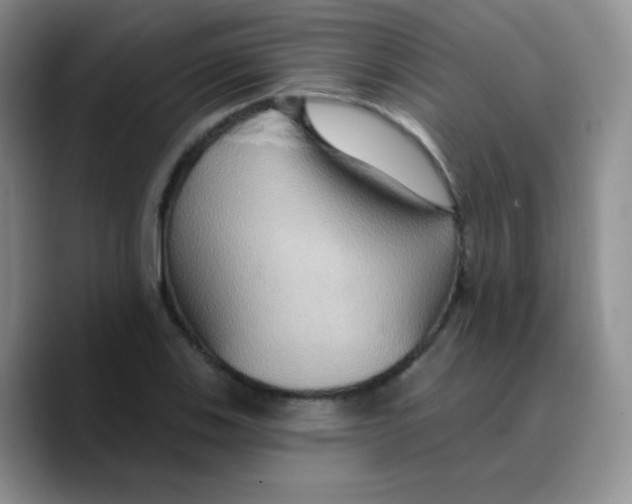 X0000089721123200707201815