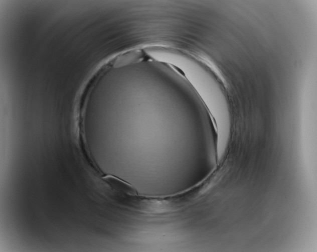 X0000089721124200707201815