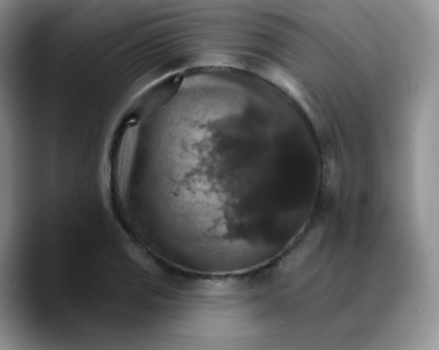 X0000089721125200707201815