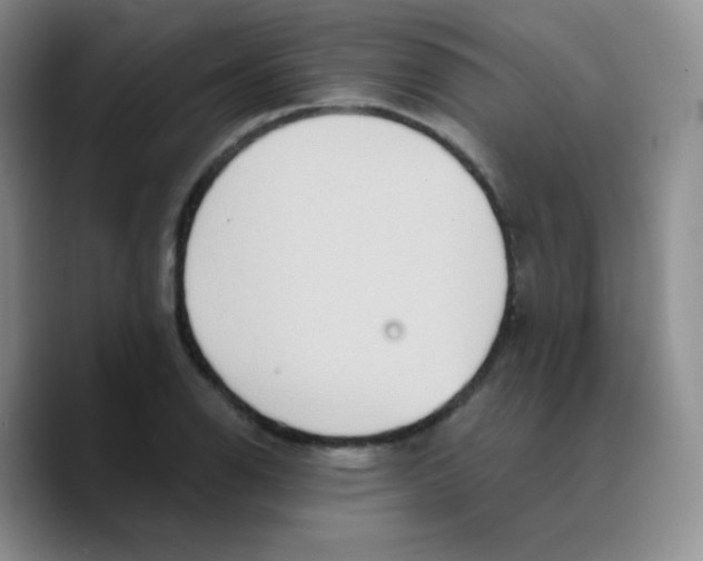 X0000089721126200707201815