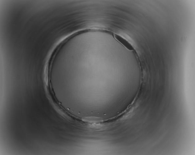 X0000089721128200707201815
