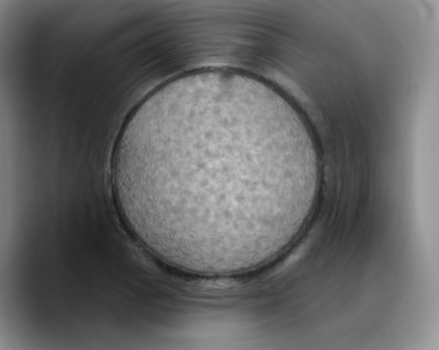 X0000089721129200707201815