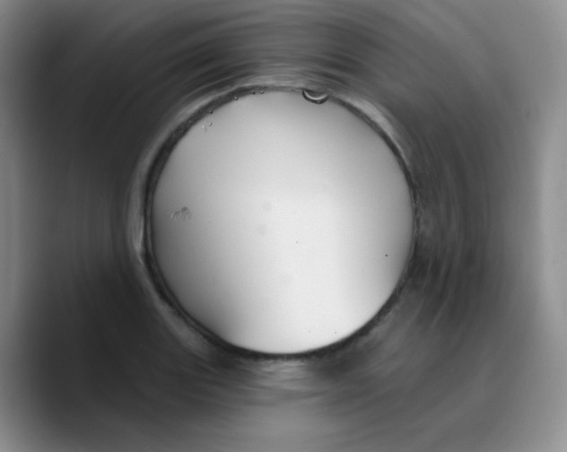 X0000089721131200707201815