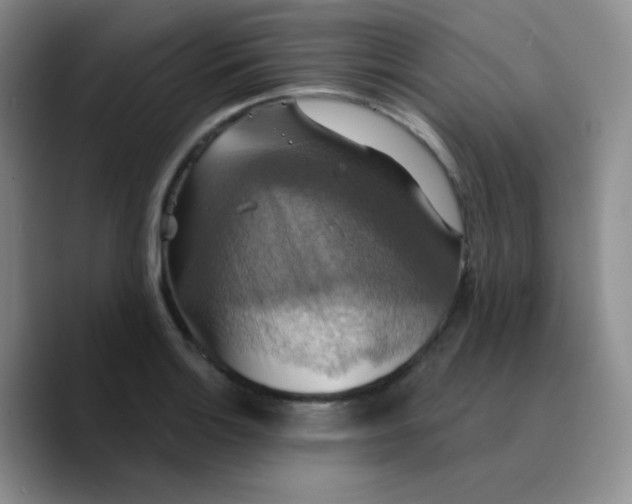 X0000089721132200707201815