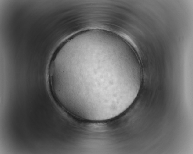 X0000089721133200707201815