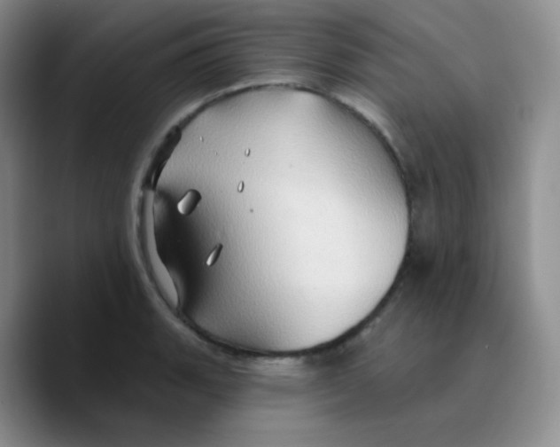 X0000089721135200707201815
