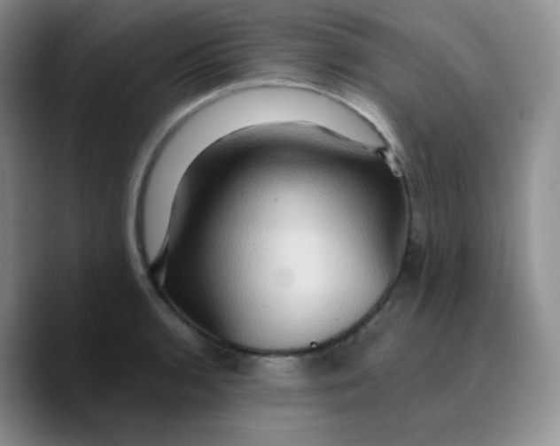 X0000089721136200707201815