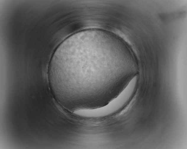 X0000089721137200707201815
