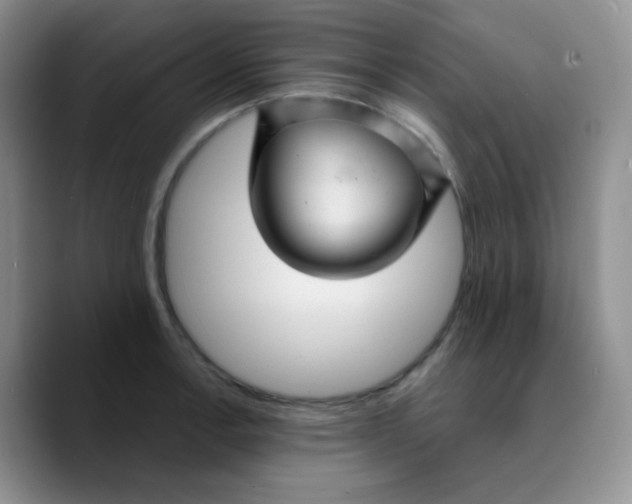 X0000089721138200707201815