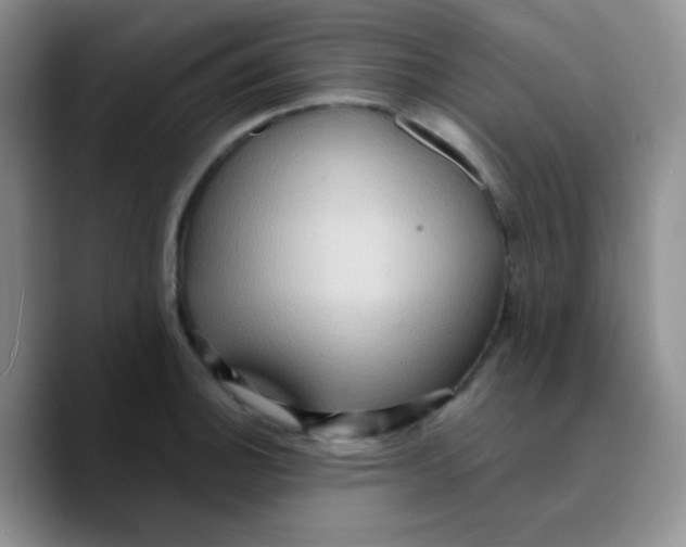 X0000089721140200707201815
