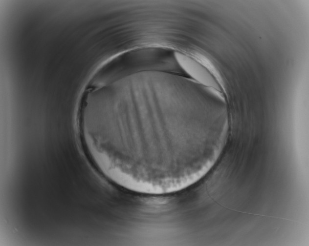 X0000089721141200707201815