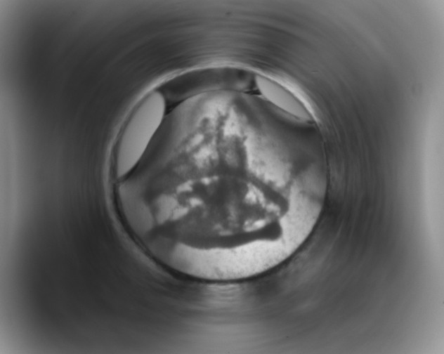 X0000089721142200707201815