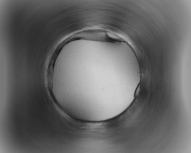 X0000089721143200707201815