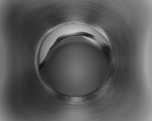 X0000089721144200707201815