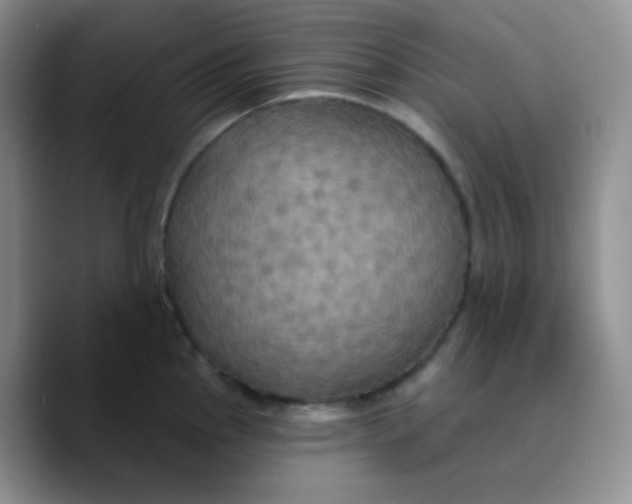 X0000089721145200707201815