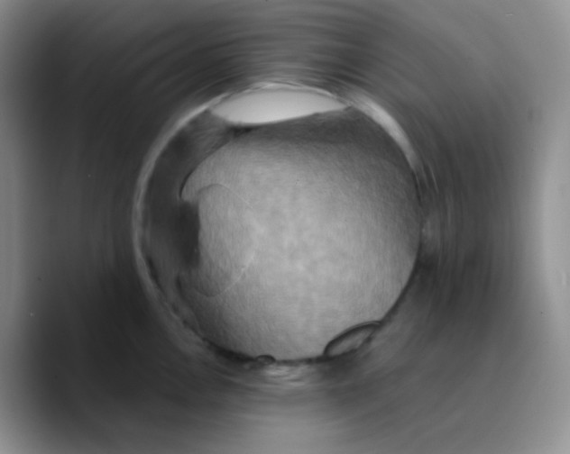 X0000089721146200707201815