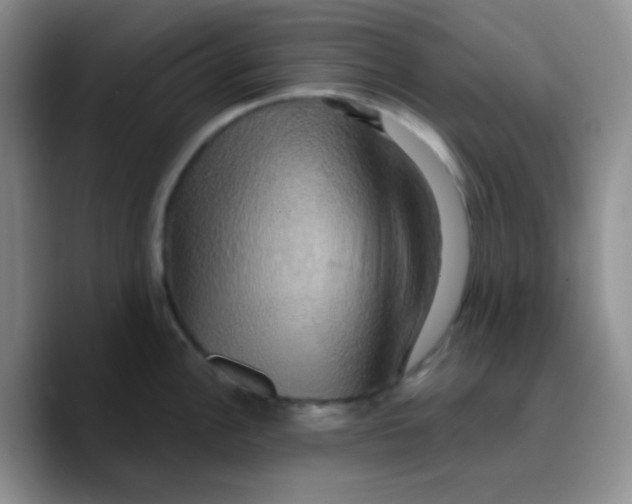 X0000089721148200707201815