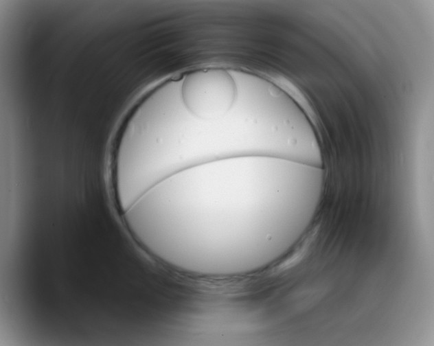X0000089721149200707201815