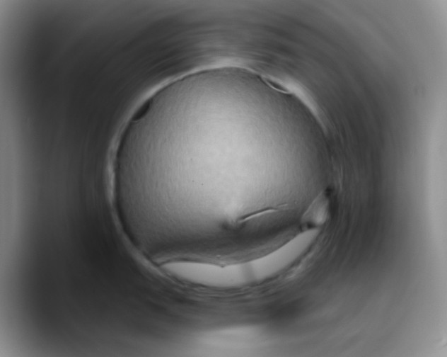 X0000089721151200707201815