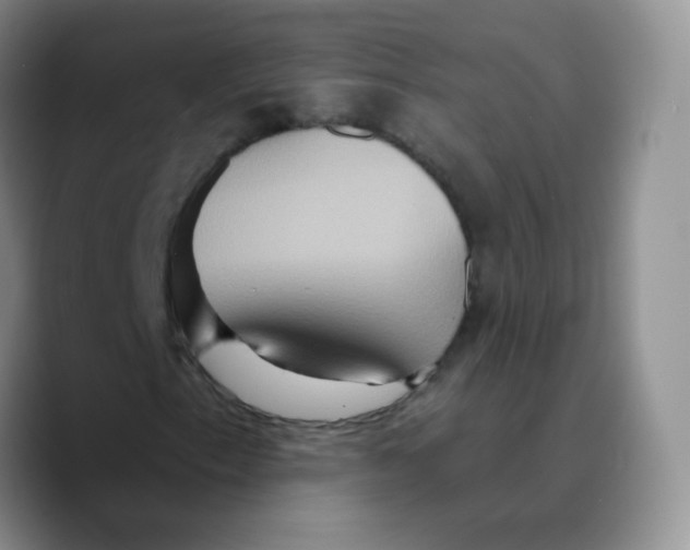 X0000089721153200707201815