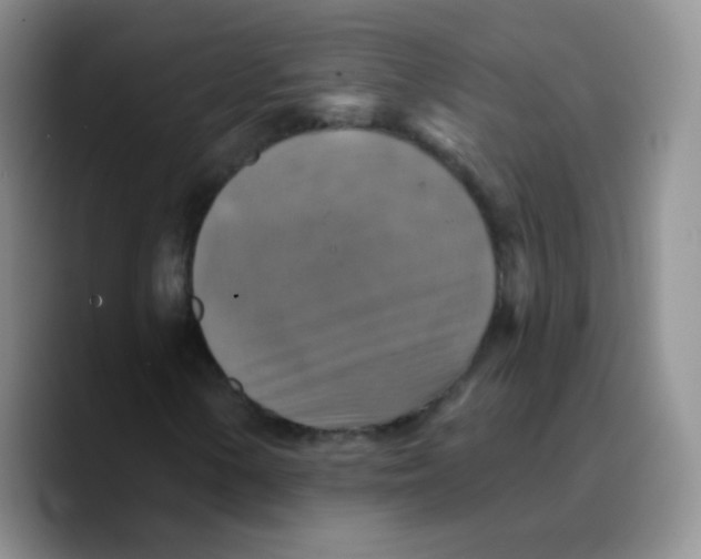 X0000089721154200707201815