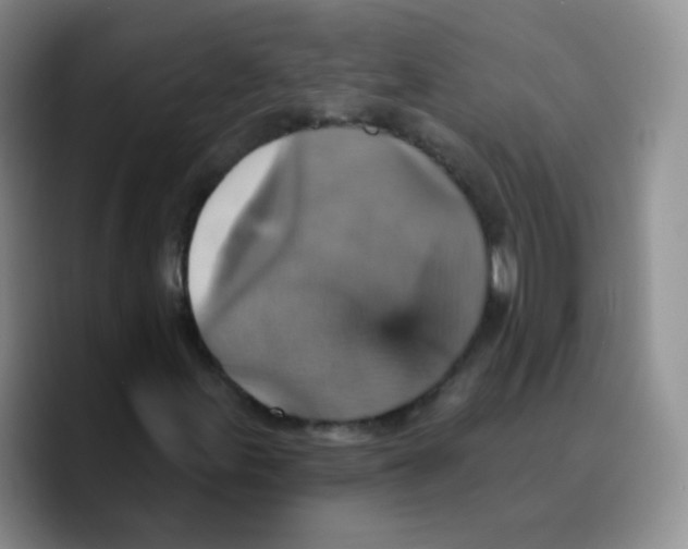 X0000089721155200707201815