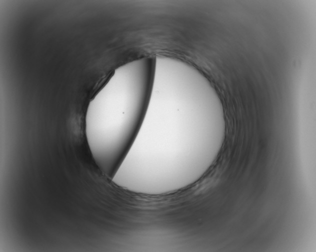 X0000089721156200707201815