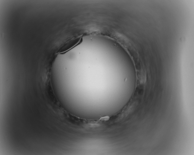 X0000089721157200707201815