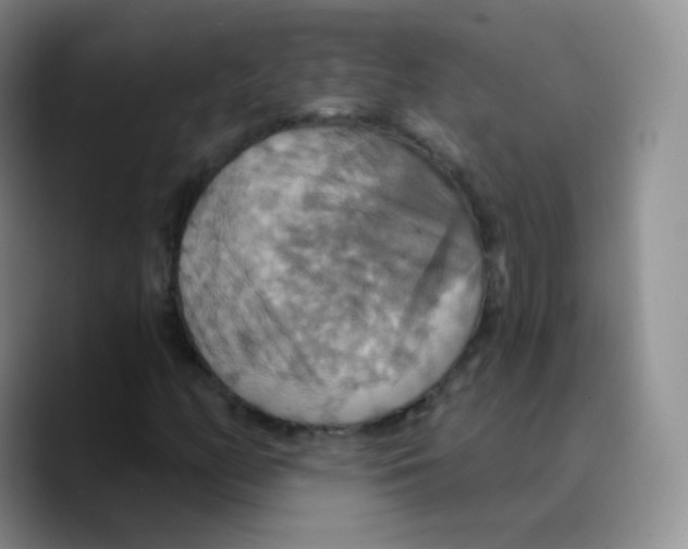 X0000089721158200707201815
