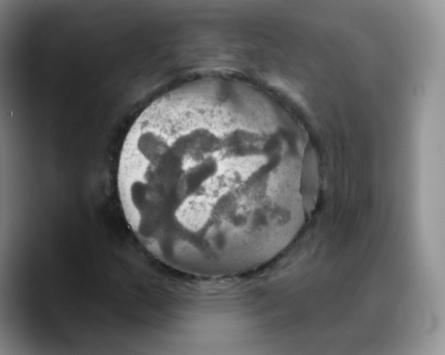 X0000089721159200707201815