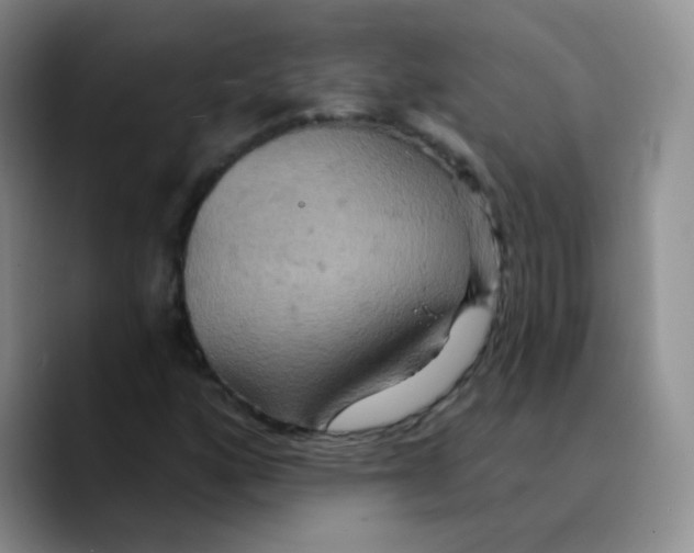 X0000089721160200707201815