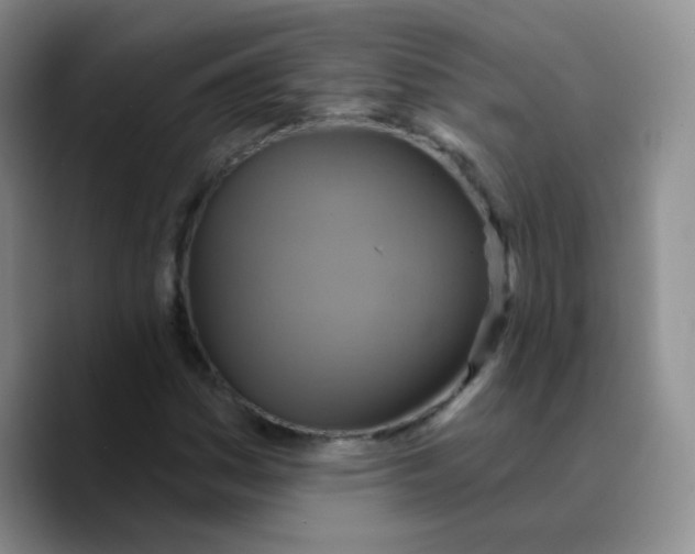 X0000089721161200707201815