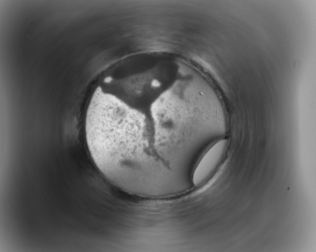 X0000089721163200707201815